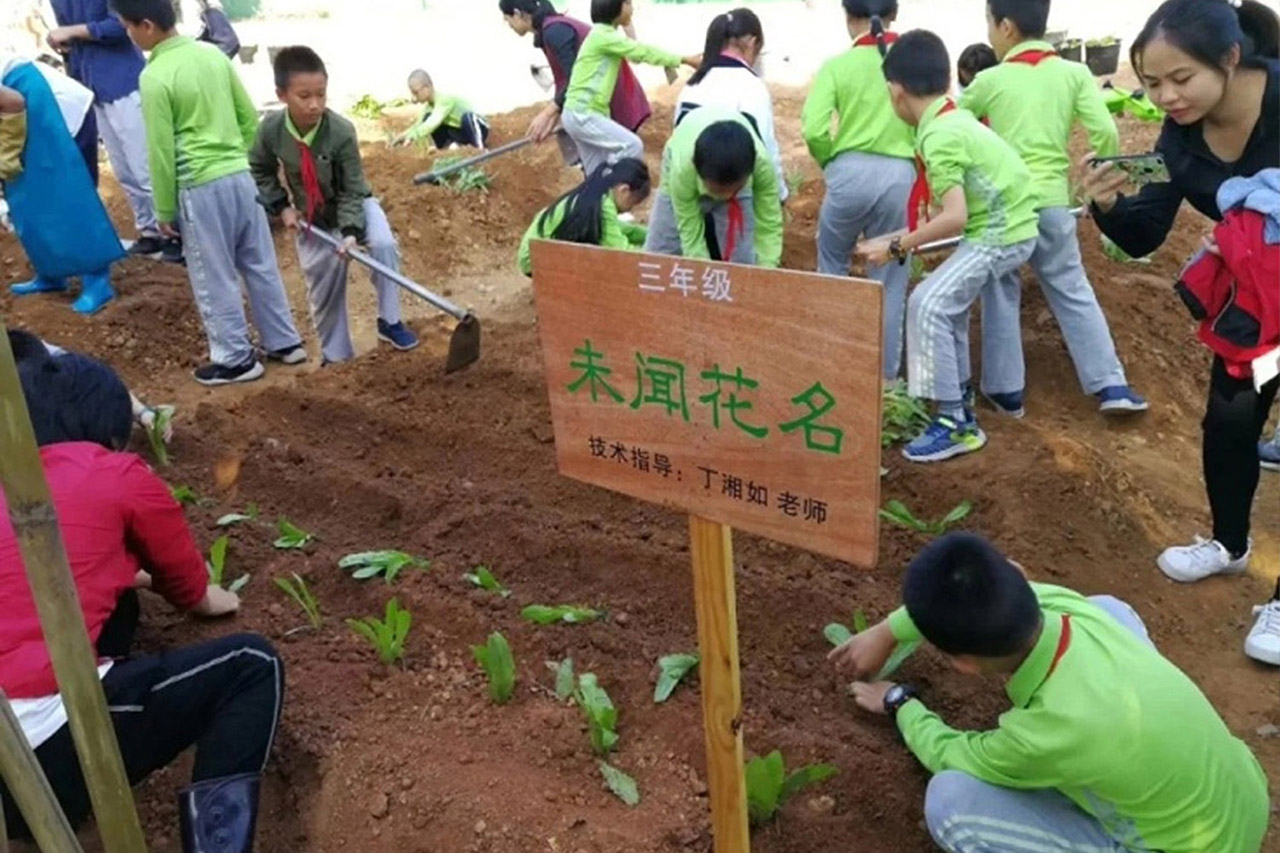 生活劳动